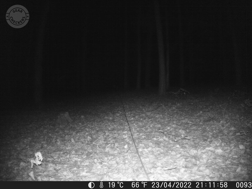 Vzdialenosť objektu od fotopasce: 30 m. Intenzita nočného prísvitu nastavená na blízko (near).