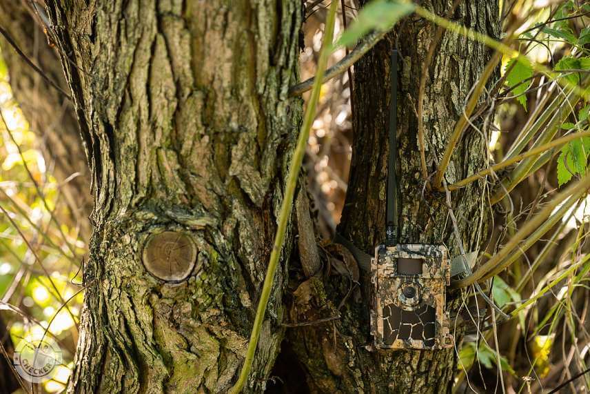 OXE Spider 4G splýva dobre vo väčšine prostredí.