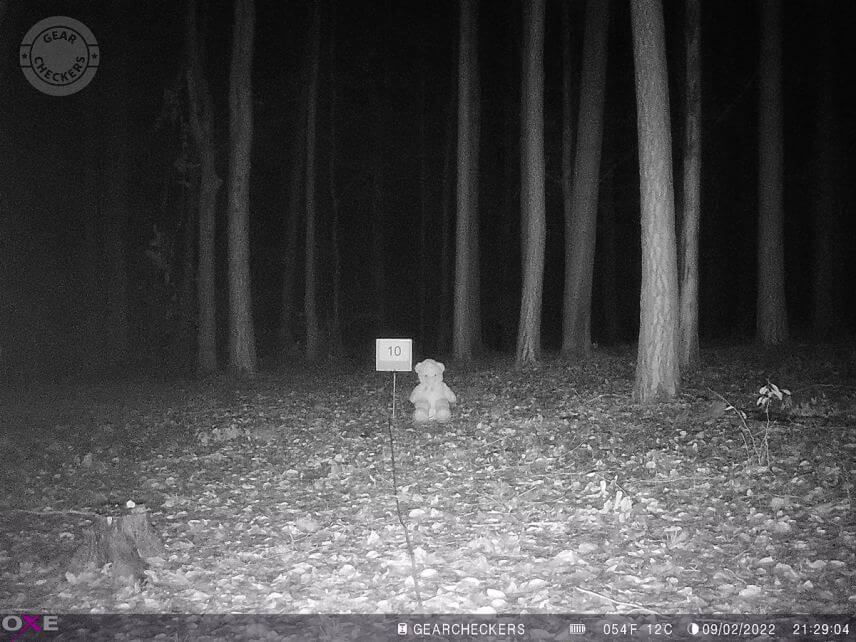 Vzdálenost objektu od fotopasti: 10 m. Všechny LED, vyvážený noční přísvit.