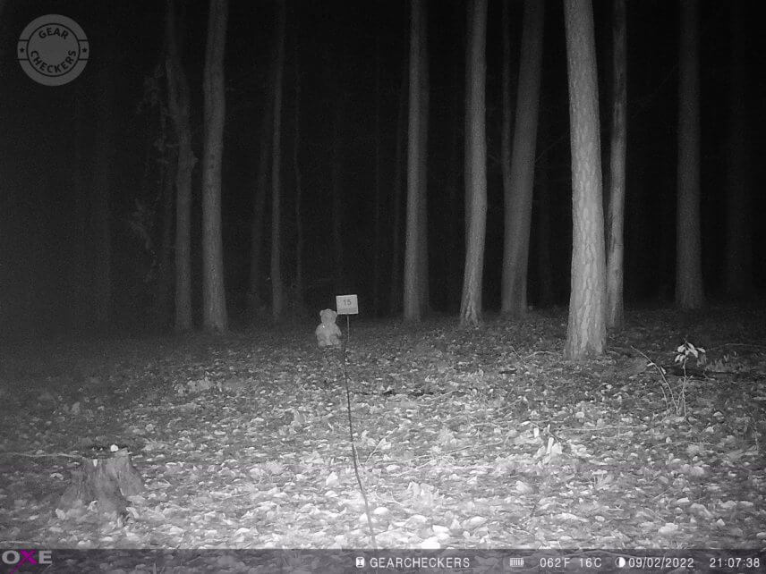 Vzdálenost objektu od fotopasti: 15 m. Všechny LED, maximální dosah. Expoziční čas: 1/8 s.