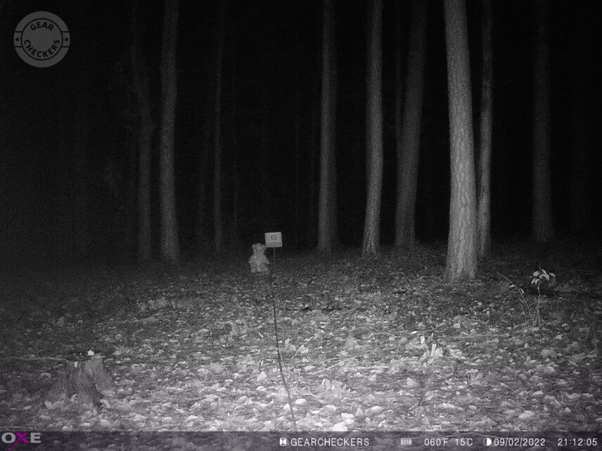 Vzdálenost objektu od fotopasti: 15 m. Všechny LED, minimální šum (minimální rozmazání). Expoziční čas: 1/30 s.