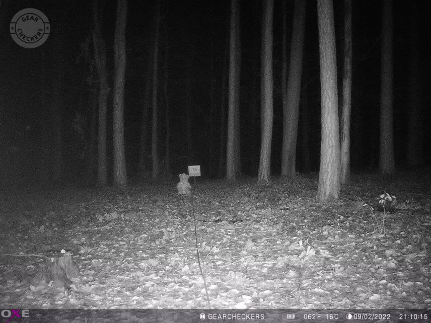 Vzdálenost objektu od fotopasti: 15 m. Všechny LED, vyvážený noční přísvit. Expoziční čas: 1/15 s.