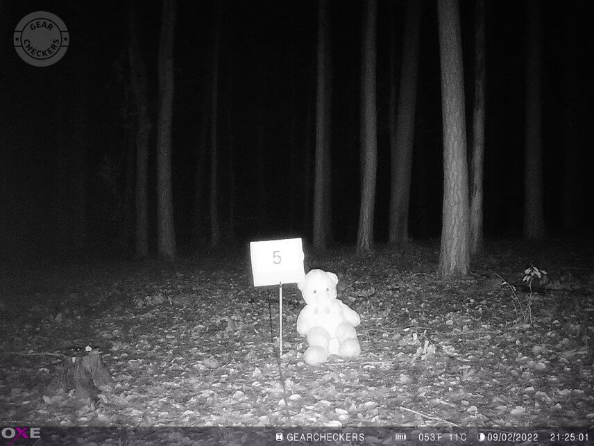 Vzdálenost objektu od fotopasti: 5 m. Všechny LED, vyvážený noční přísvit.
