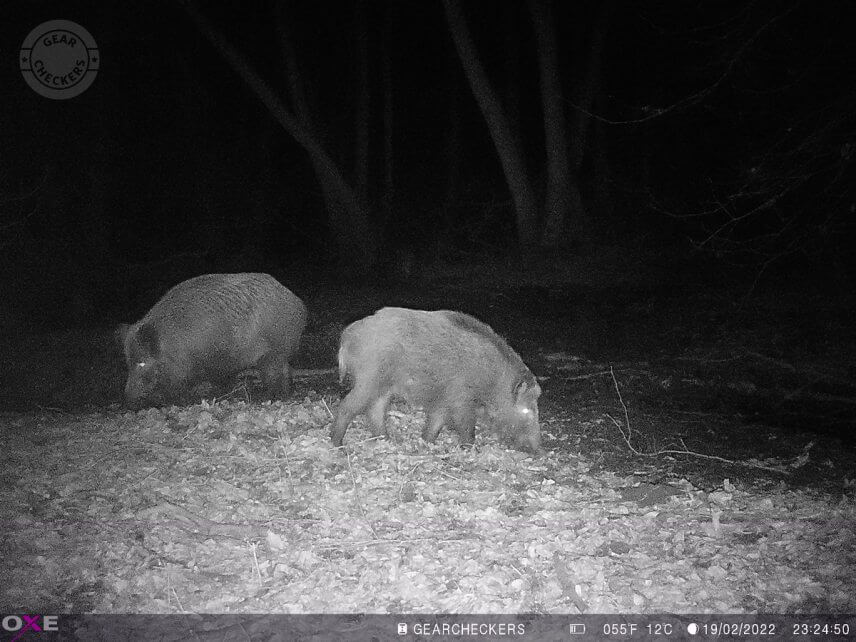 Kvalitou príjemne prekvapia aj nočné zábery.
