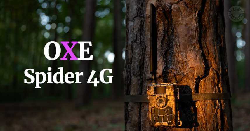 Recenze OXE Spider 4G. Spolehlivá GSM fotopast.
