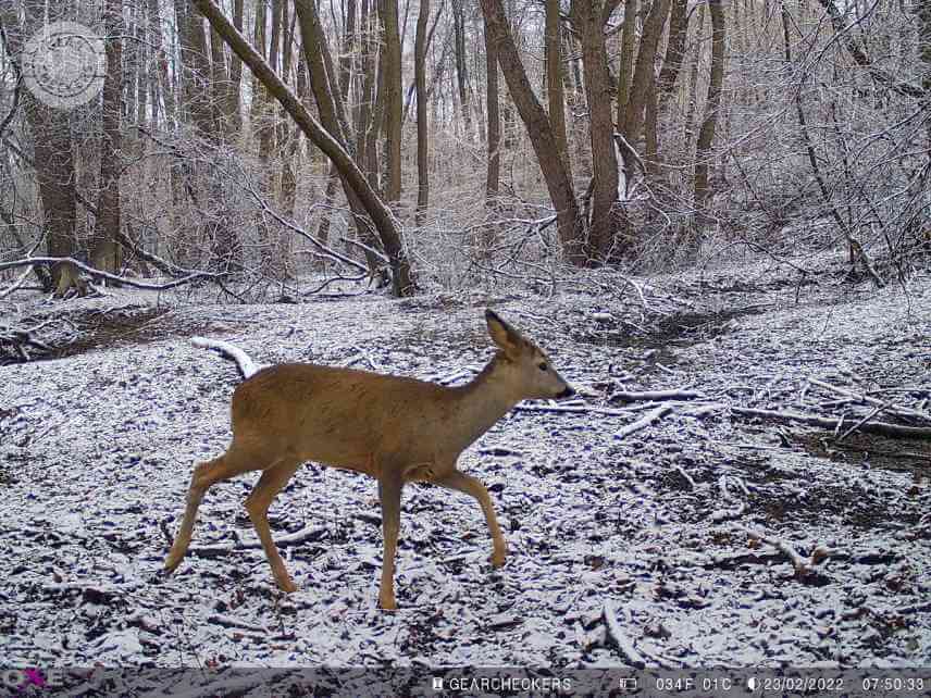 Denné zábery sú detailné, ostré a farebne príjemne vyvážené.