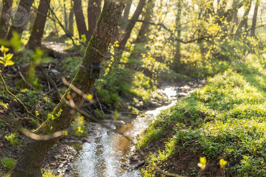 Maskovací vzor OXE Viper splýva s kôrou stromu veľmi dobre.
