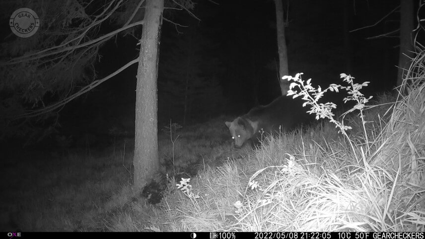 Aj nočné zábery sú jasné a detailné, bez problémov teda identifikujete zachytené zvieratá či osoby.