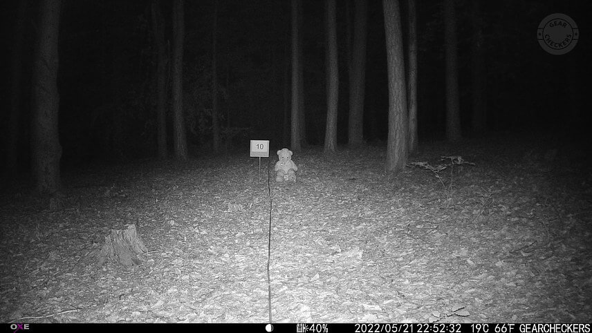 Vzdialenosť objektu od fotopasce: 10 m. Nočný prísvit v režime AUTO.