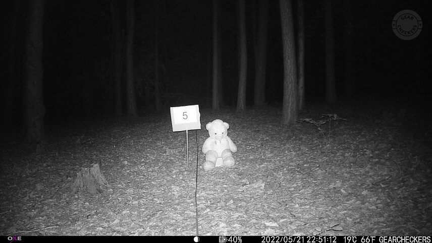 Vzdialenosť objektu od fotopasce: 5 m. Nočný prísvit v režime AUTO.