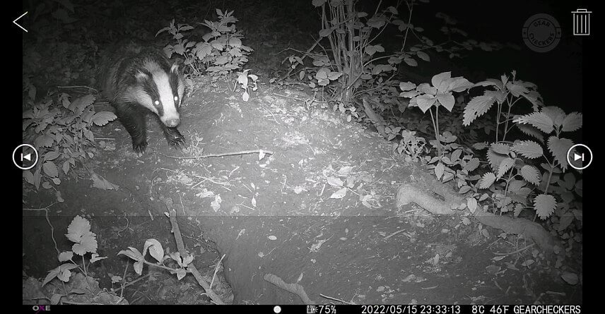 Vďaka mobilnej aplikácii si viete prezerať a sťahovať zábery z fotopasce priamo do telefónu.