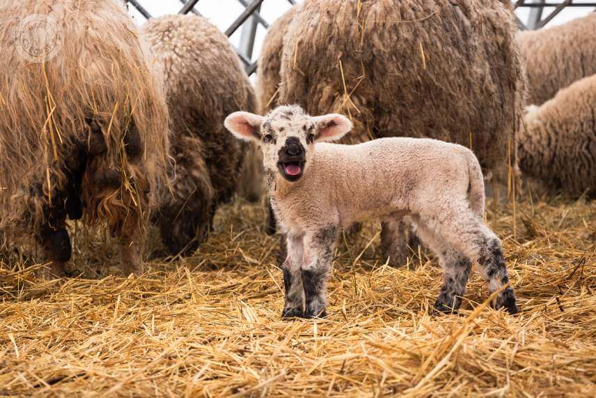 Obmedzenie časov snímania sa hodí pri ochrane majetku