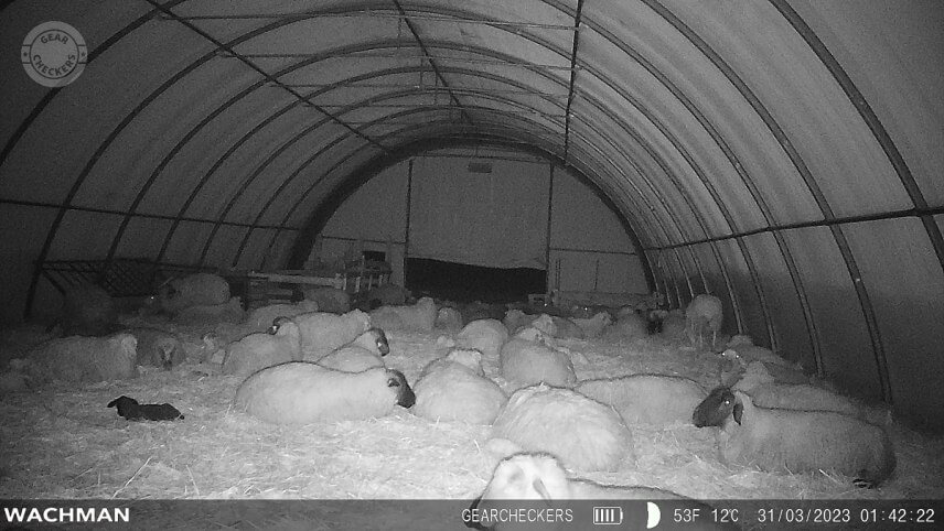 Obmedzenie časov snímania sa hodí pri ochrane majetku