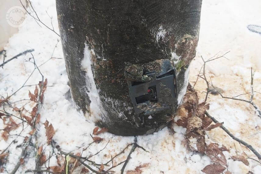 Fotopasca na sp&iacute;lenom buku na lesnom sklade.