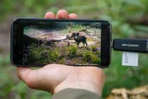 Ako si pozrieť zábery z fotopasce priamo v lese? 4 praktické tipy