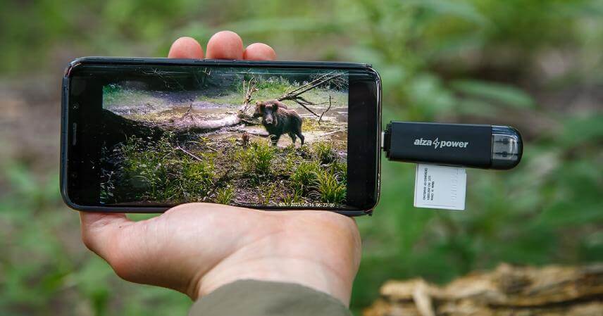Ako si pozrieť zábery z fotopasce priamo v lese? 4 praktické tipy