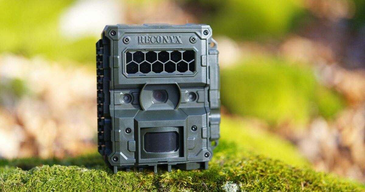 Fotopasca Reconyx HF4K HyperFire 4K - prvé dojmy a kvalita videa. Stojí za tie peniaze?