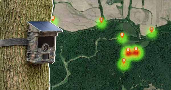 Ako triediť, spracovať a zálohovať dáta z fotopasce?