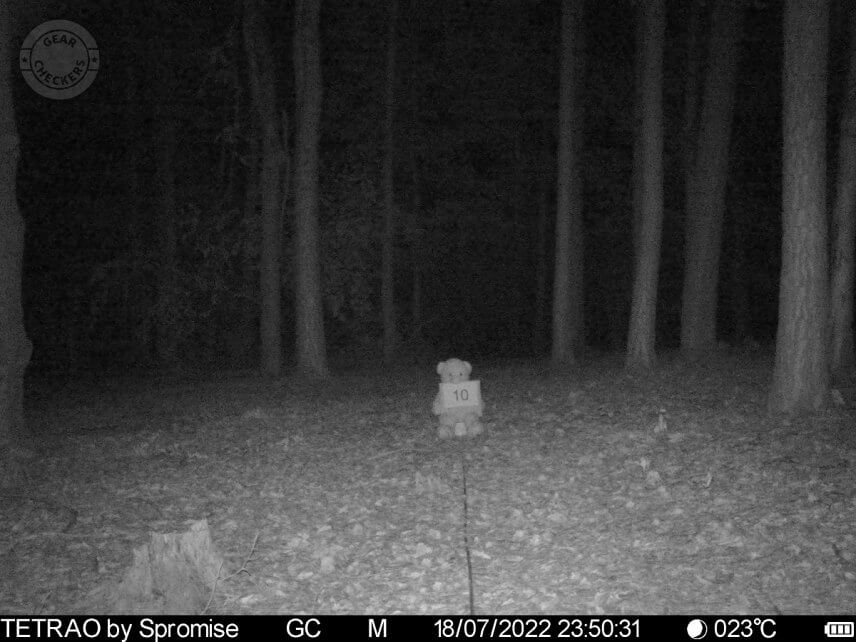 Vzdialenosť objektu od fotopasce: 10 m.