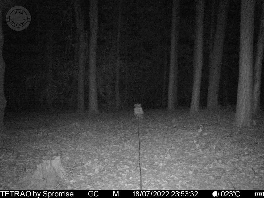 Vzdialenosť objektu od fotopasce: 15 m.