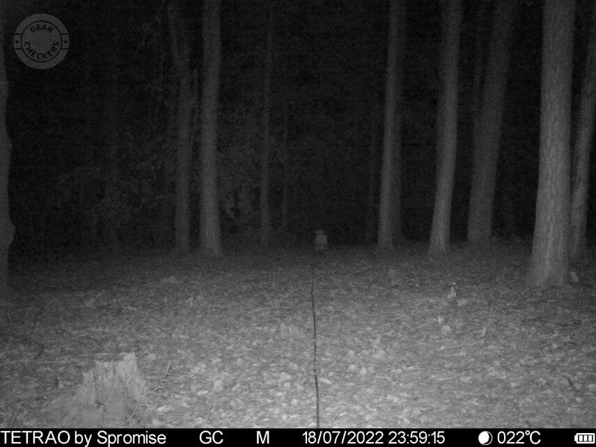 Vzdialenosť objektu od fotopasce: 25 m.