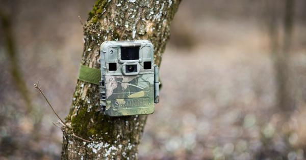 Recenzia Spromise S68 - Najlepšia fotopasca od značky TETRAO