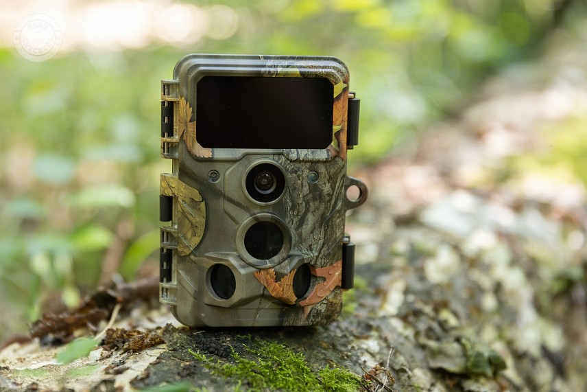 Fotopasca Wachman Aldo