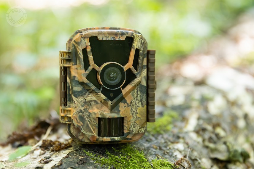 Fotopasca Wachman King