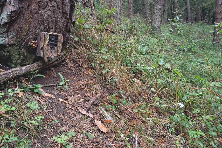 Osadená fotopasca Browning Spec Ops Elite HP5 v ochrannom boxe.