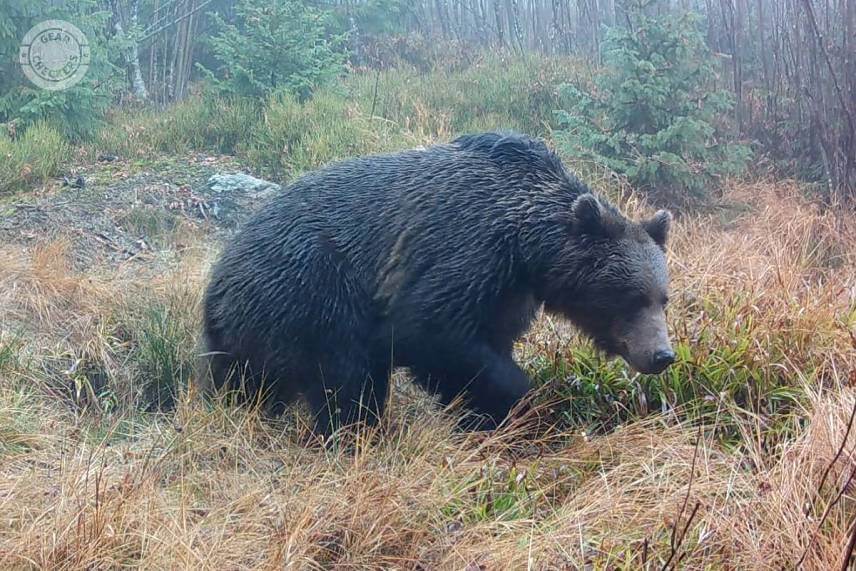 Fotopasca 8 mesiacov pri kalisku v horách