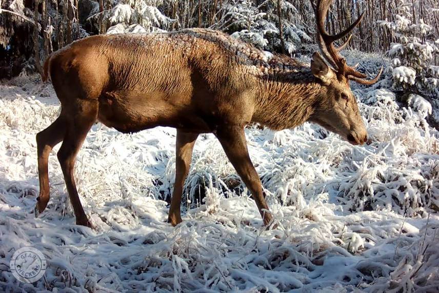 Fotopasca 8 mesiacov pri kalisku v horách