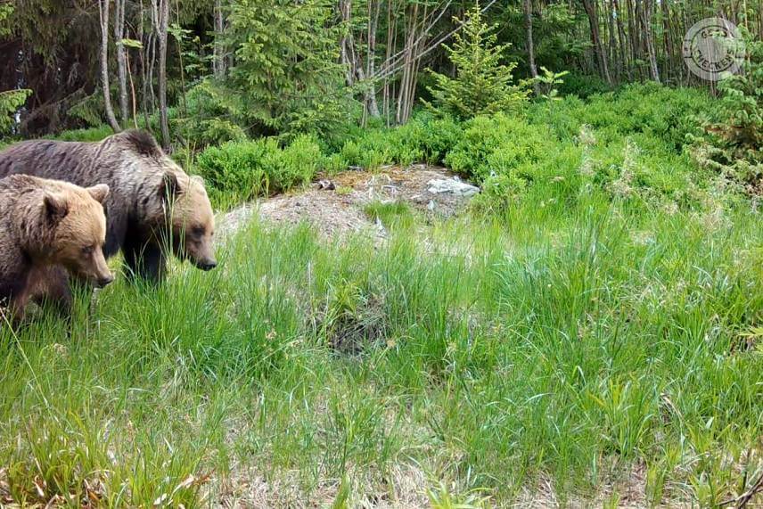 Fotopasca 8 mesiacov pri kalisku v horách
