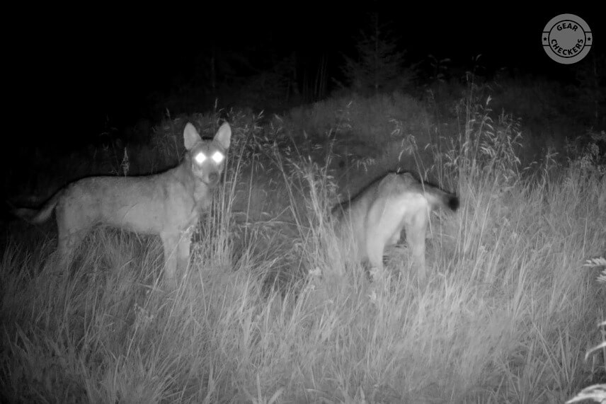 Fotopasca 8 mesiacov pri kalisku v horách