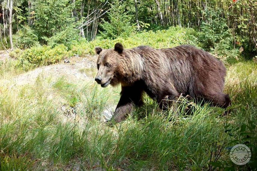 Fotopasca 8 mesiacov pri kalisku v horách