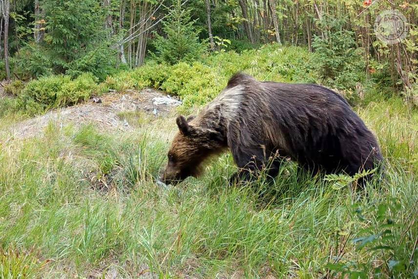 Fotopasca 8 mesiacov pri kalisku v horách