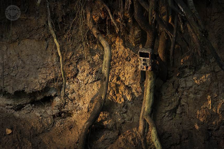 Fotopasca Wachman Aldo.