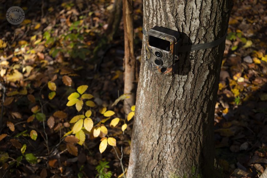 Fotopasca Wachman Aldo na rakyte.
