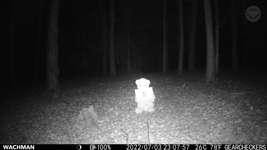 Vzdialenosť objektu od fotopasce: 5 m. Nočný prísvit v režime AUTO.