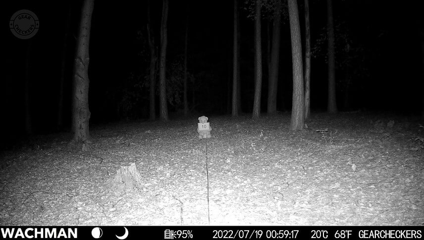 Vzdialenosť objektu od fotopasce: 10 m, nočný prísvit v režime AUTO, 1/30 s.