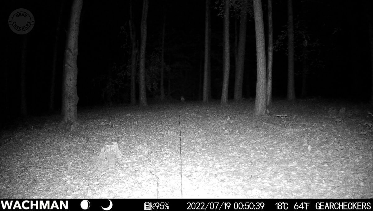 Vzdialenosť objektu od fotopasce: 30 m, nočný prísvit v režime AUTO, 1/30 s.