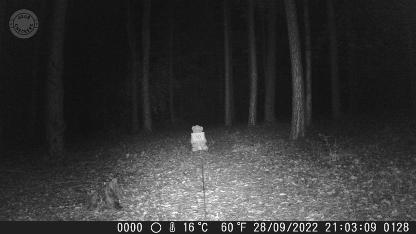 Vzdialenosť objektu od fotopasce: 10 m.