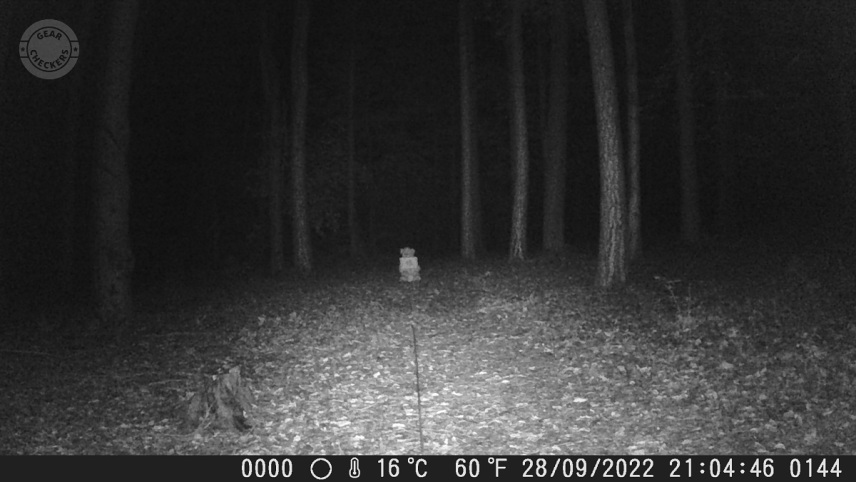 Vzdialenosť objektu od fotopasce: 15 m.