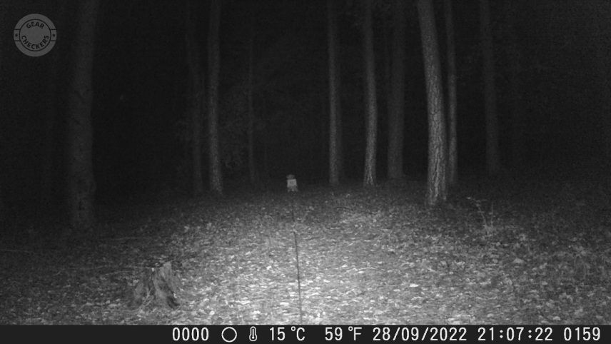 Vzdialenosť objektu od fotopasce: 20 m.