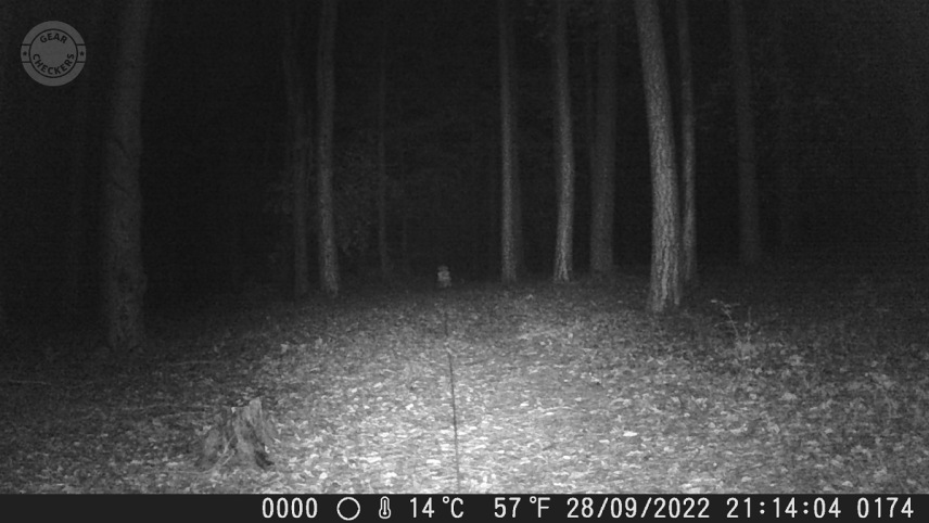 Vzdialenosť objektu od fotopasce: 25 m.