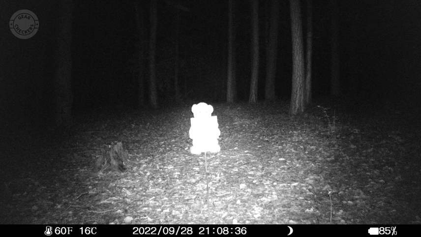 Vzdialenosť objektu od fotopasce: 5 m.