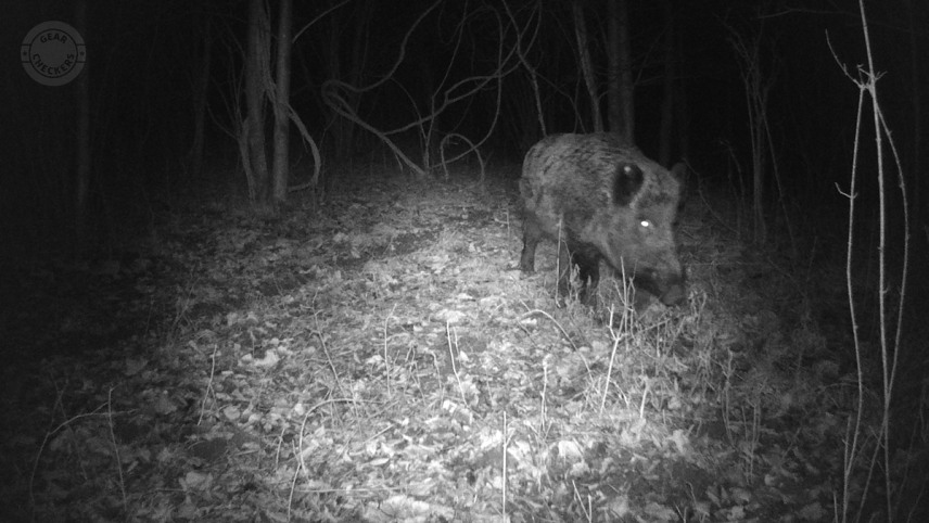 Foto z fotopasce Wchamn Mini Full HD