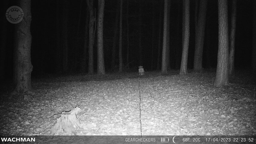 IR 30 LED, režim minim&aacute;lne rozmazanie, vzdialenosť objektu od fotopasce: 20 m.