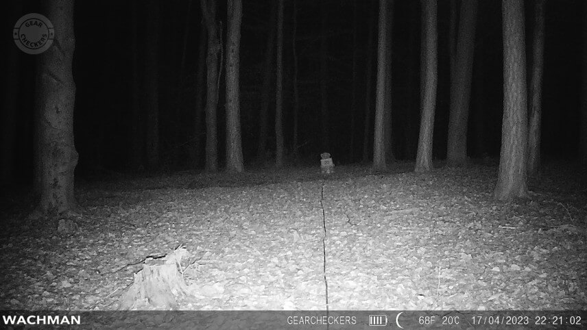 IR 60 LED, režim minim&aacute;lne rozmazanie, vzdialenosť objektu od fotopasce: 20 m.