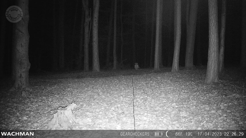 IR 60 LED, režim minim&aacute;lne rozmazanie, vzdialenosť objektu od fotopasce: 25 m.