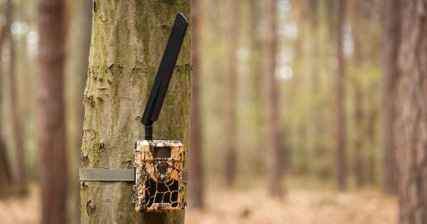 Recenzia MMS fotopasce Wachman Rio 4G - dlhodobý test